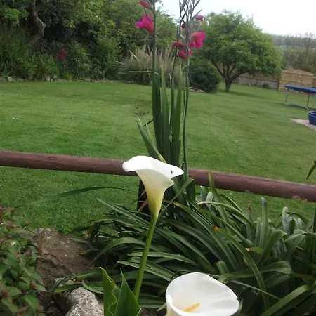 Gratton Guest house Newquay (Cornwall)